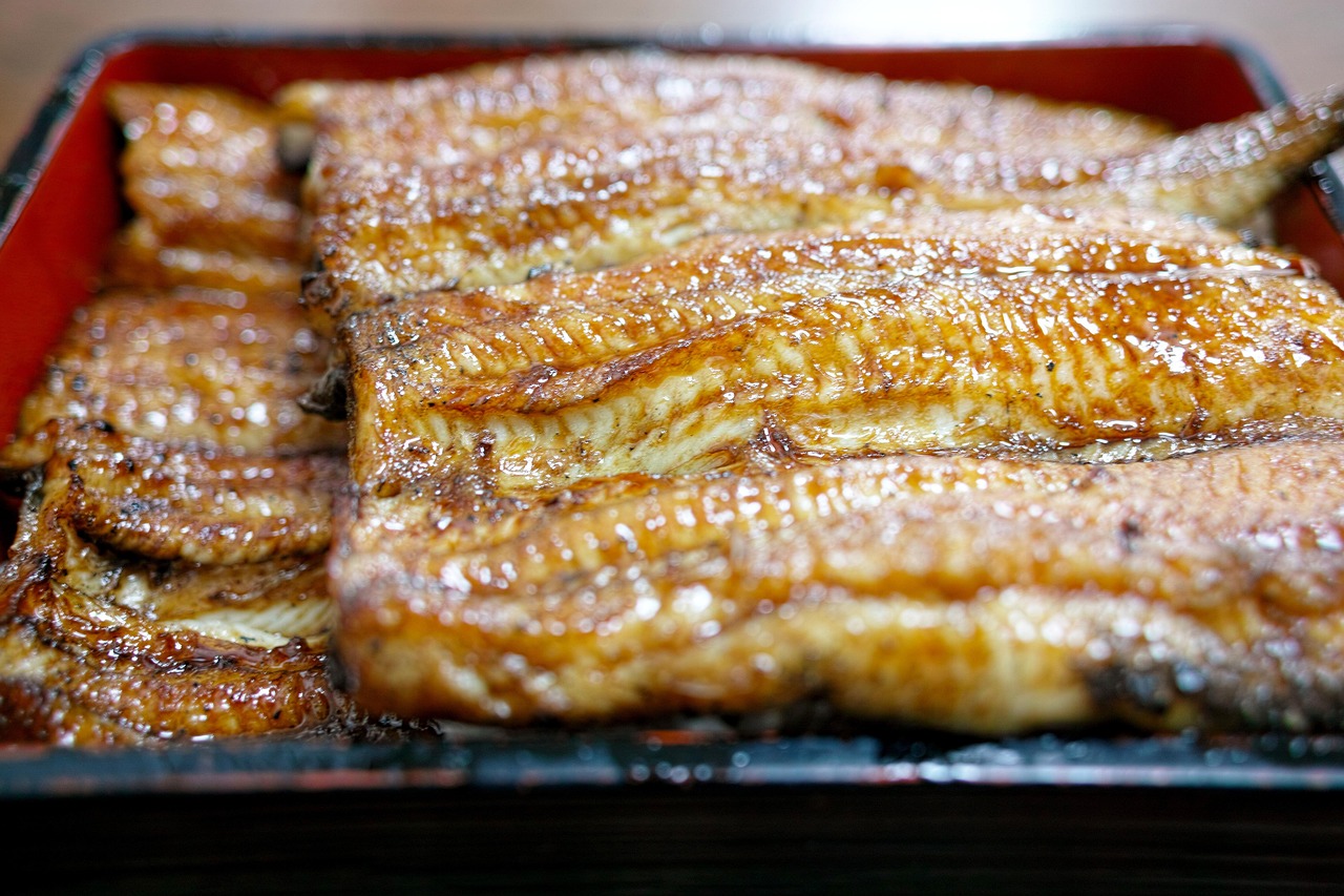 京都美食做法大全视频，探索日本传统风味