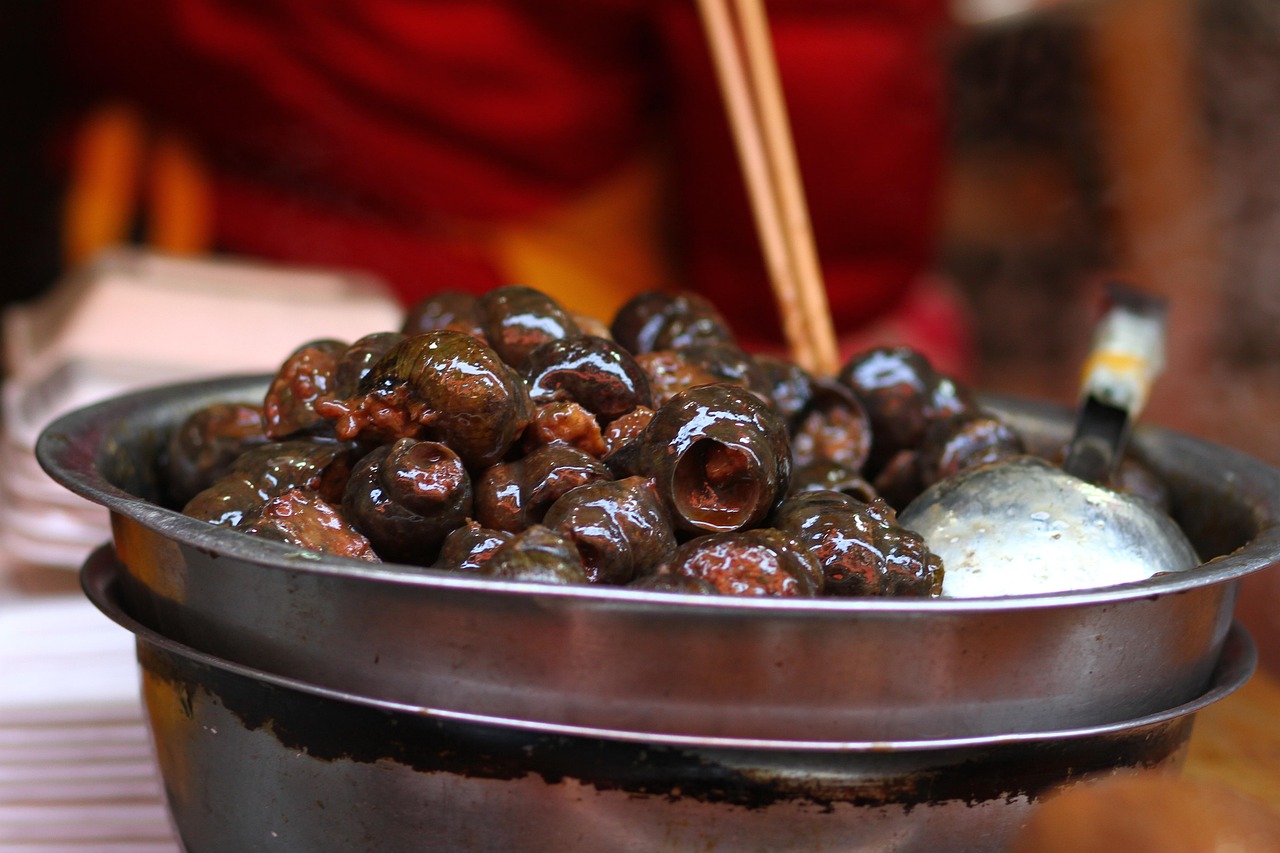 北京小院，品尝京城特色美食的绝佳之地