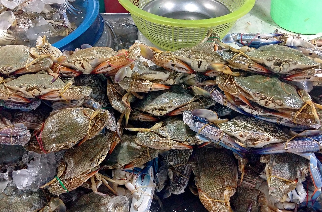 舌尖上的旅行，如何用文字推荐美食