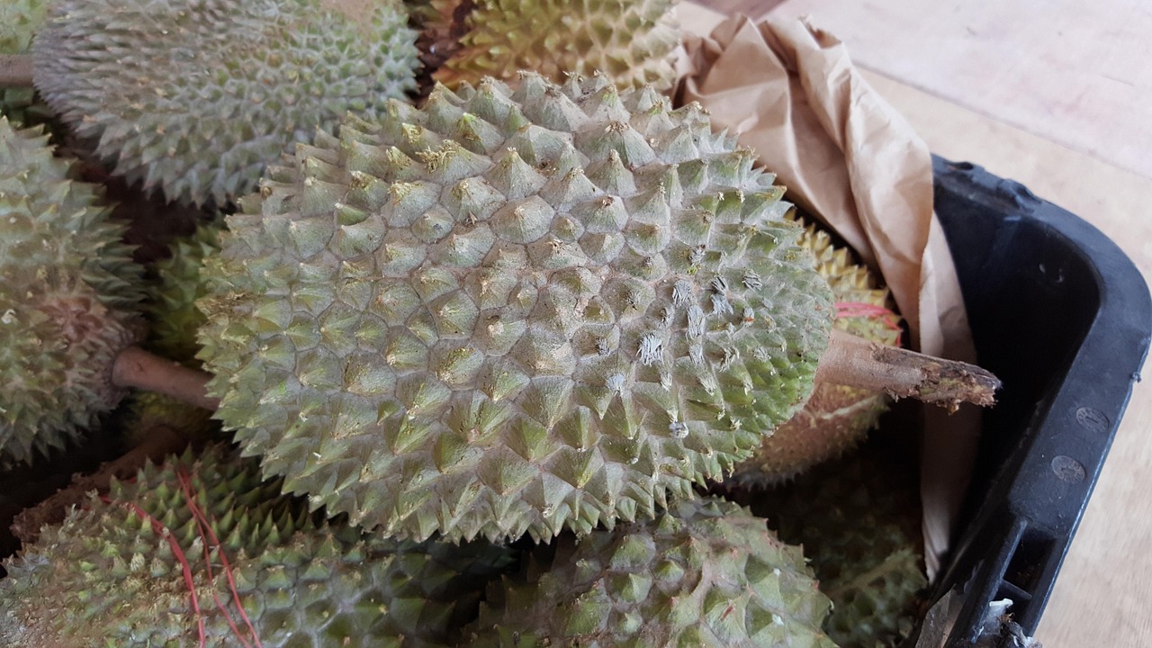 东南亚特色美食与地理的奇妙邂逅