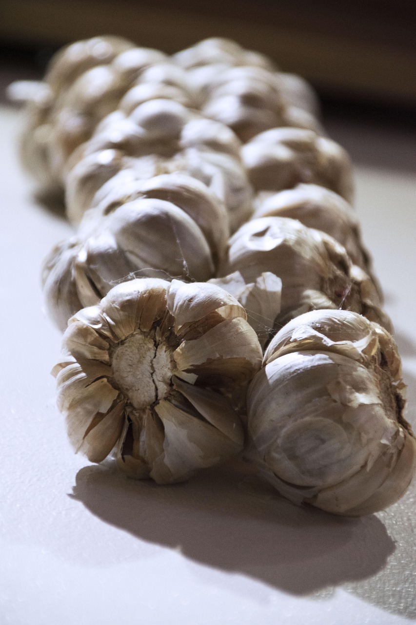 张掖特色美食哪里好